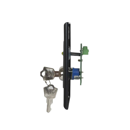 Lowell Remote Power Switch Low-Voltage SPST for Sequencer Control | Key | Maintained | Wall Plate with ASM