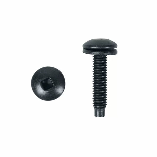 Lowell RSR-50 Robertson Square Head Rack Screws 50-Pack