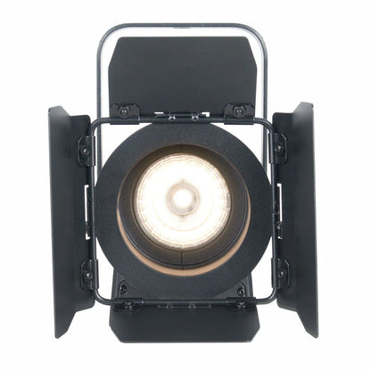 34879_ADJ-Encore-FR20-DTW-Fresnel_ALT4sqr