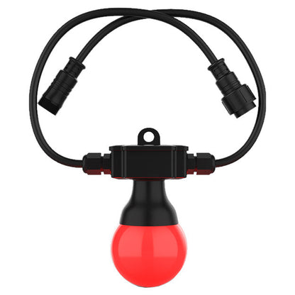 Chauvet DJ Festoon 2 RGB Decor String Lighting System