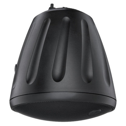 SoundTube RS1001i-II-T 10 Pendant Subwoofer