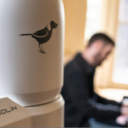 BirdDog P4K 4K Full NDI PTZ Camera white lifestyle