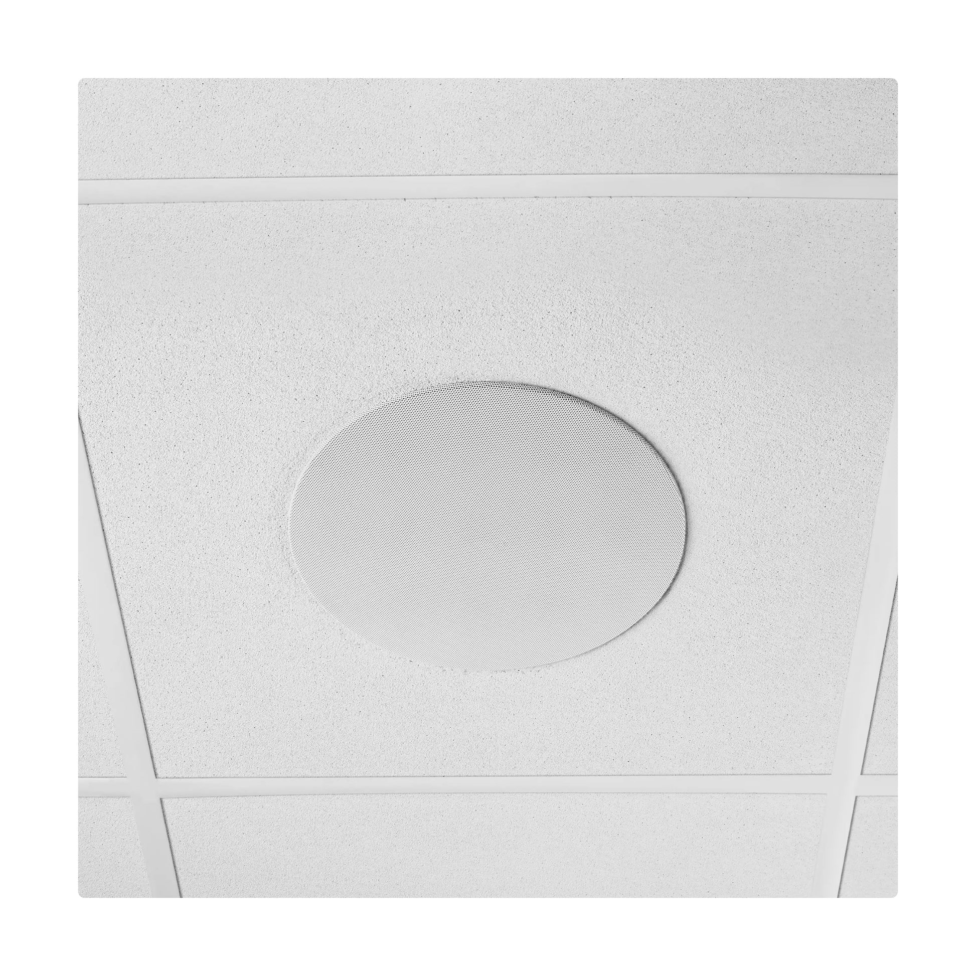 54222_Shure-MXN5W-C-Networked-PoE-Ceiling-Speaker-for-AV-Conferencing_ALT06sqr