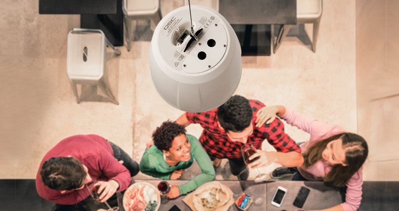 QSC AD-P.HALO AcousticDesign Integrated SUB/SAT Pendant Speaker System | Color: Black