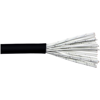 RapcoHorizon IJIS Multipair Cable | 20 Channel
