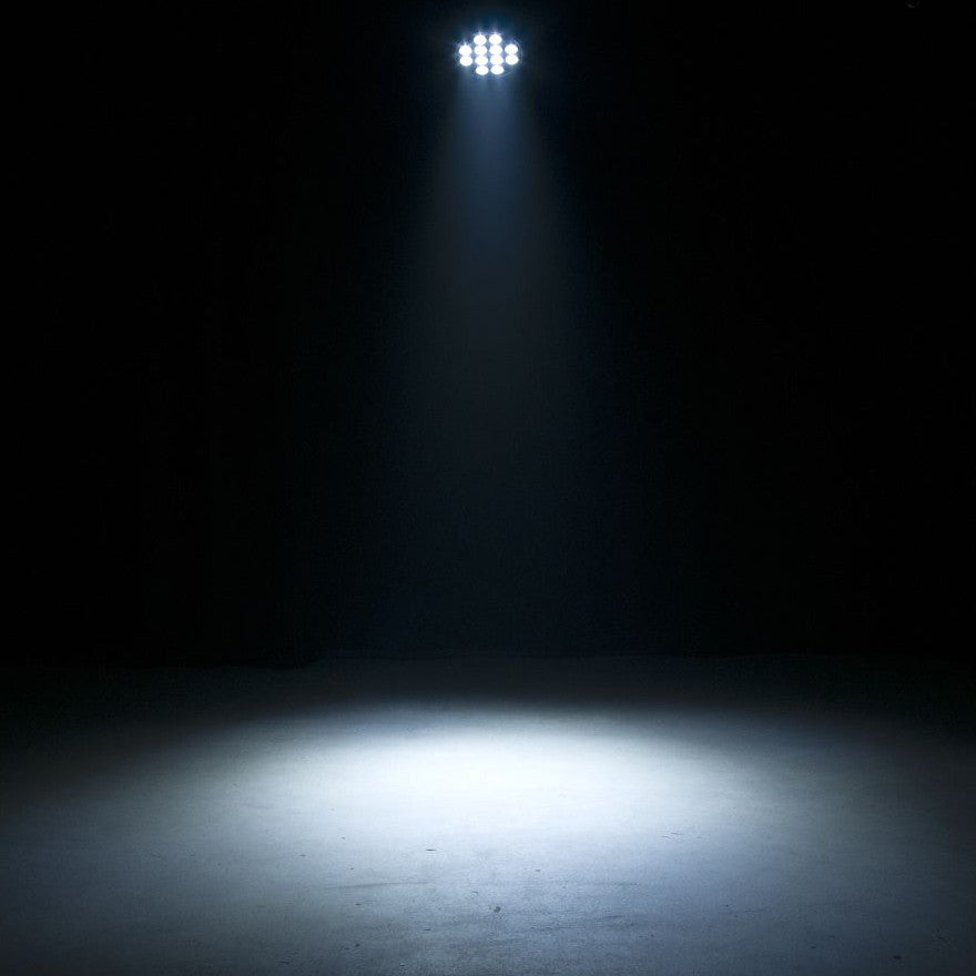 Eliminator Lighting LP 12 HEX LED Par white