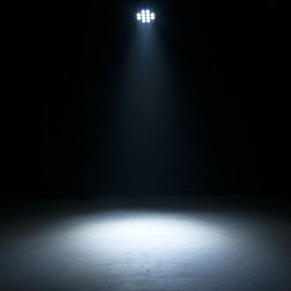 Eliminator Lighting LP 12 HEX LED Par white