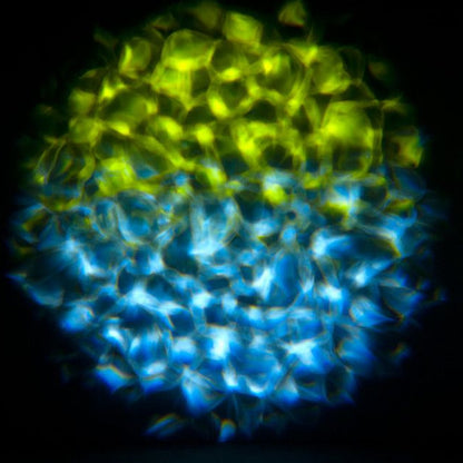 Eliminator Lighting Aqua LED 2 Water Effect lifestyle 3