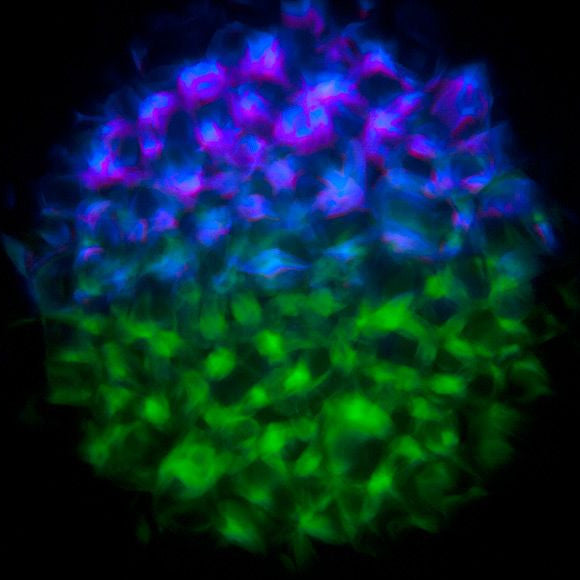 Eliminator Lighting Aqua LED 2 Water Effect lifestyle 4