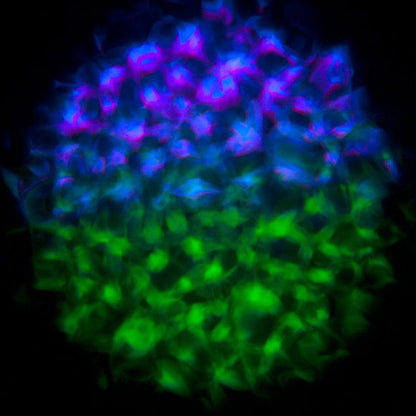 Eliminator Lighting Aqua LED 2 Water Effect lifestyle 4