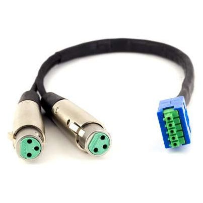 MCPHX2XLRF dual XLR-F to 5-pin Phoenix adapter cable, full product view showing two nickel XLR female connectors with green inserts and a blue housing with green 5-pin Phoenix plug, Lectrosonics