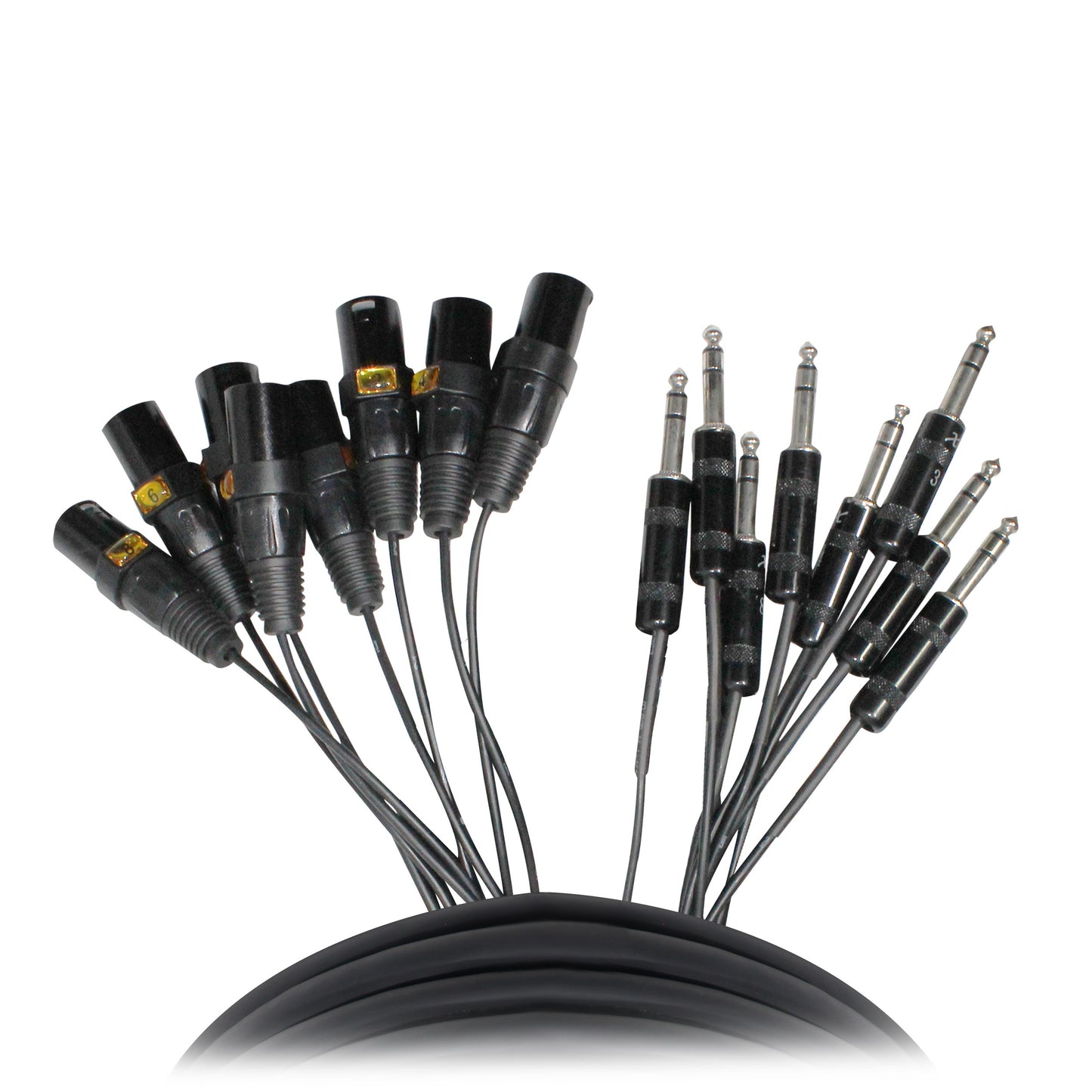 ProX 8-Channel Snake Cable Organized Multi-Channel Audio Run | XLR Male | 1/4 in TRS Male | 10 Ft.