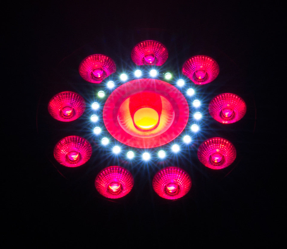 Chauvet DJ FXpar 9 Compact RGB+UV LED Wash Light