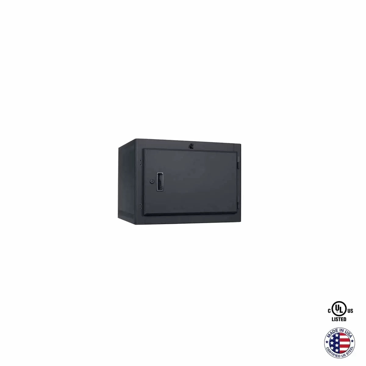 Lowell LWER Stationary Wall Rack with Door | 7U