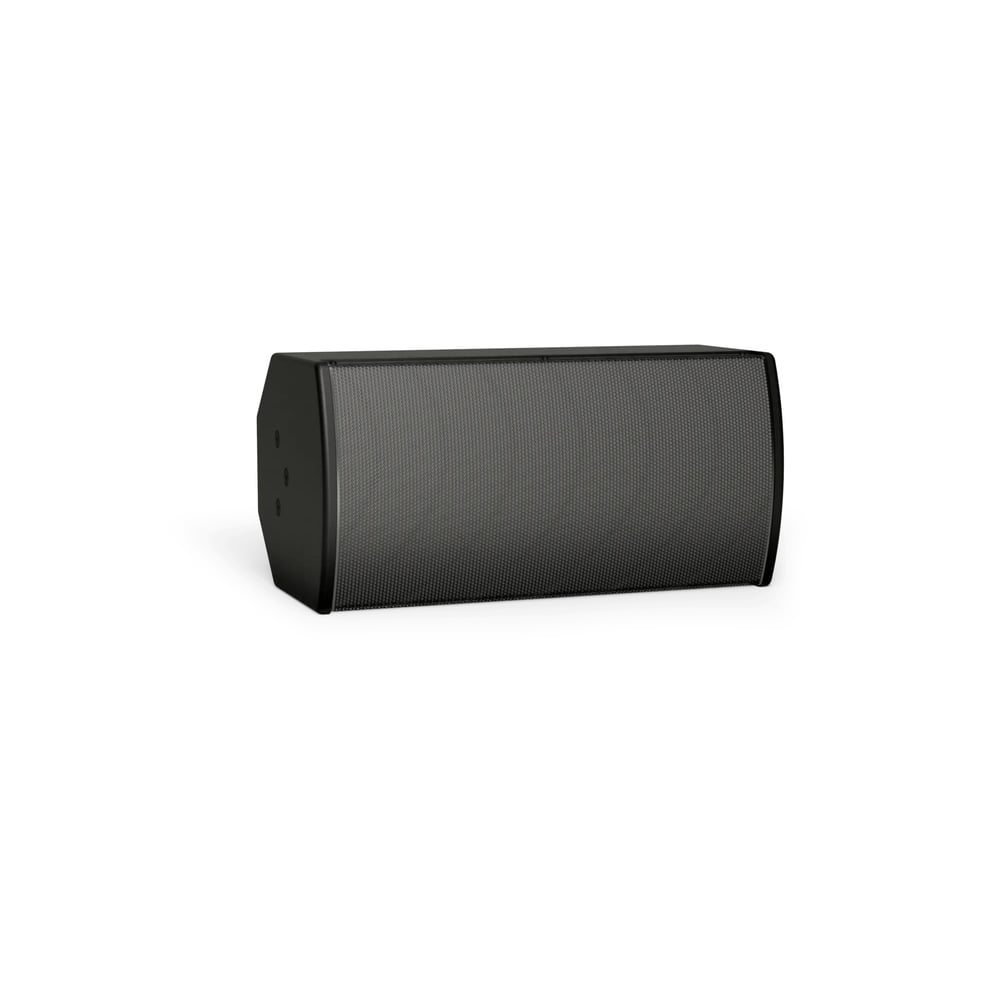 Bose 893798-0100 Arenamatch Utility Amu108-120 Outdoor Loudspeaker-Black