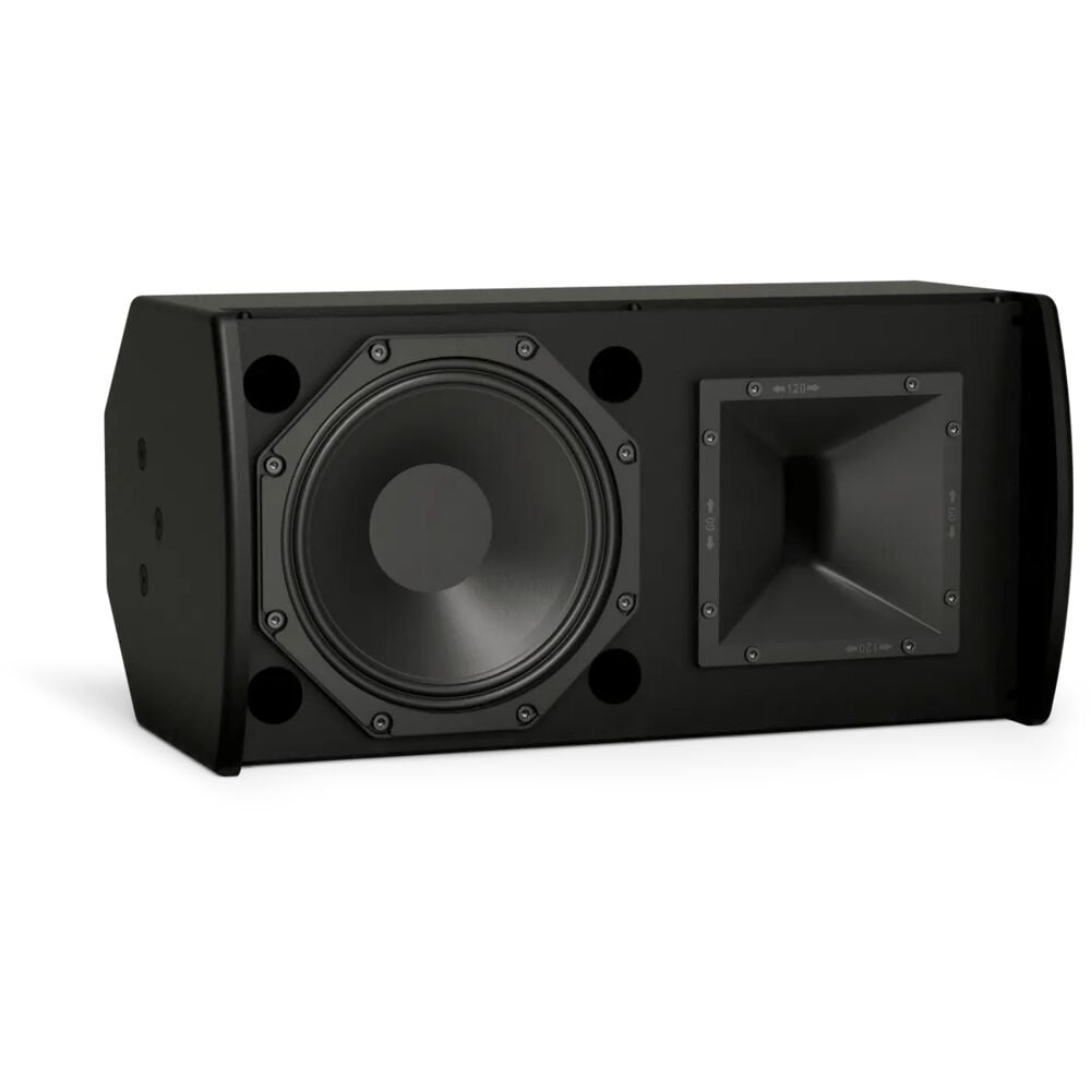 Bose 893798-0100 Arenamatch Utility Amu108-120 Outdoor Loudspeaker-Black