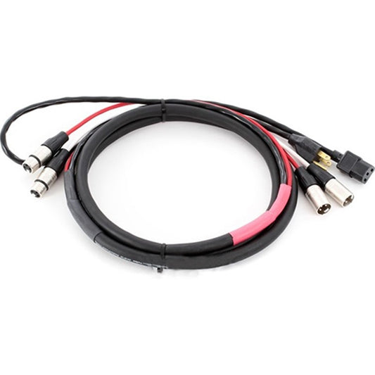 ProCo Sound EC2 Siamese Twin audio/power cable coiled with XLR breakouts and AC connectors at both ends