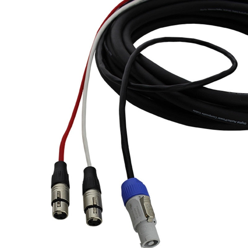 ProCo Sound EC5 Siamese Twin Audio/Power Cable | 25 ft