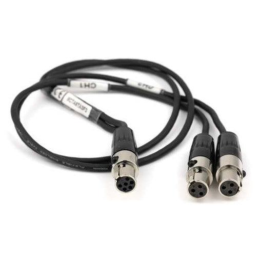TA6F to dual TA3F breakout cable 18 inch overall view showing six-pin TA6F female connector and two TA3F female connectors with CH1 labeled cable tags, Lectrosonics