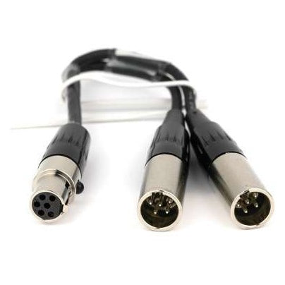 TA6F to dual TA5M breakout cable, 6 inch, front view of the female TA6F connector and two male TA5M connectors with black strain relief boots, Lectrosonics