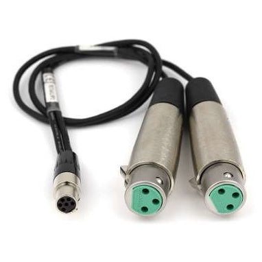 TA6F 18-inch balanced output cable overall view showing the TA5-style mini connector on one end splitting into two nickel XLR female connectors with green inserts, Lectrosonics