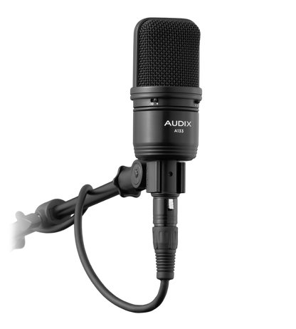 Audix A133 Studio Condenser Microphone with Pad and Roll Off on Stand
