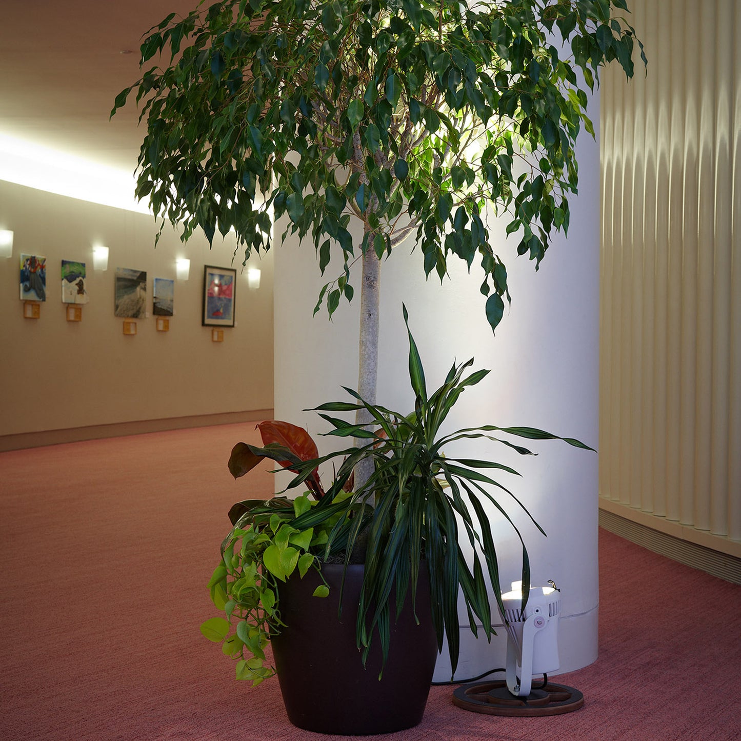 ETC Desire D22 LED Lustr+ Par Wash Light lifestyle 2