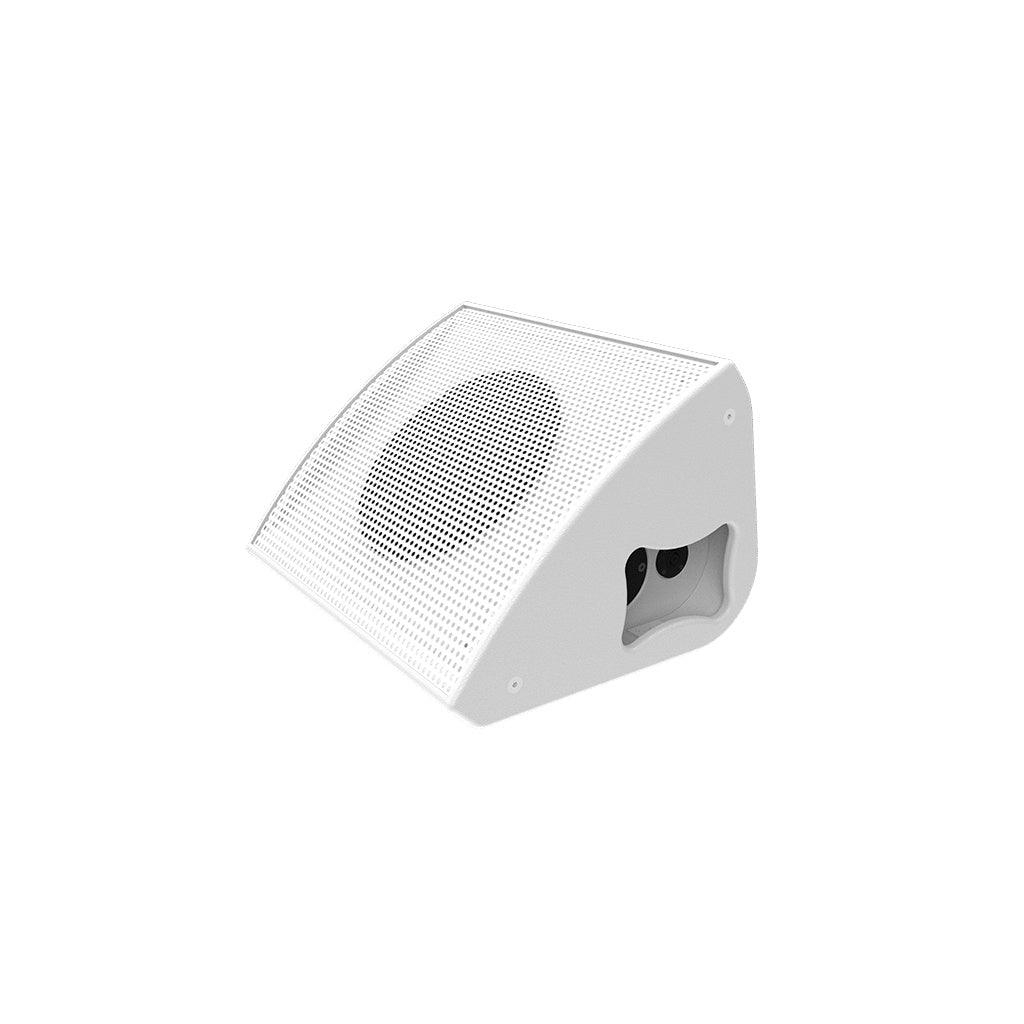 FLX12_Danley-FLX12-Full-Range-Loudspeaker-with-90°-Conical_ALT13sqr