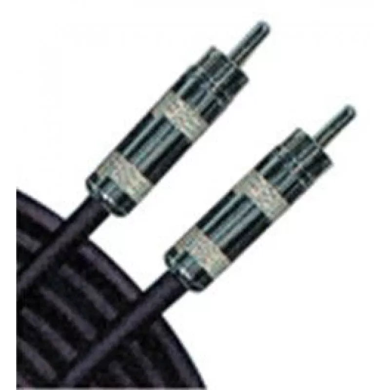 Rapco-Horizon RCA-25