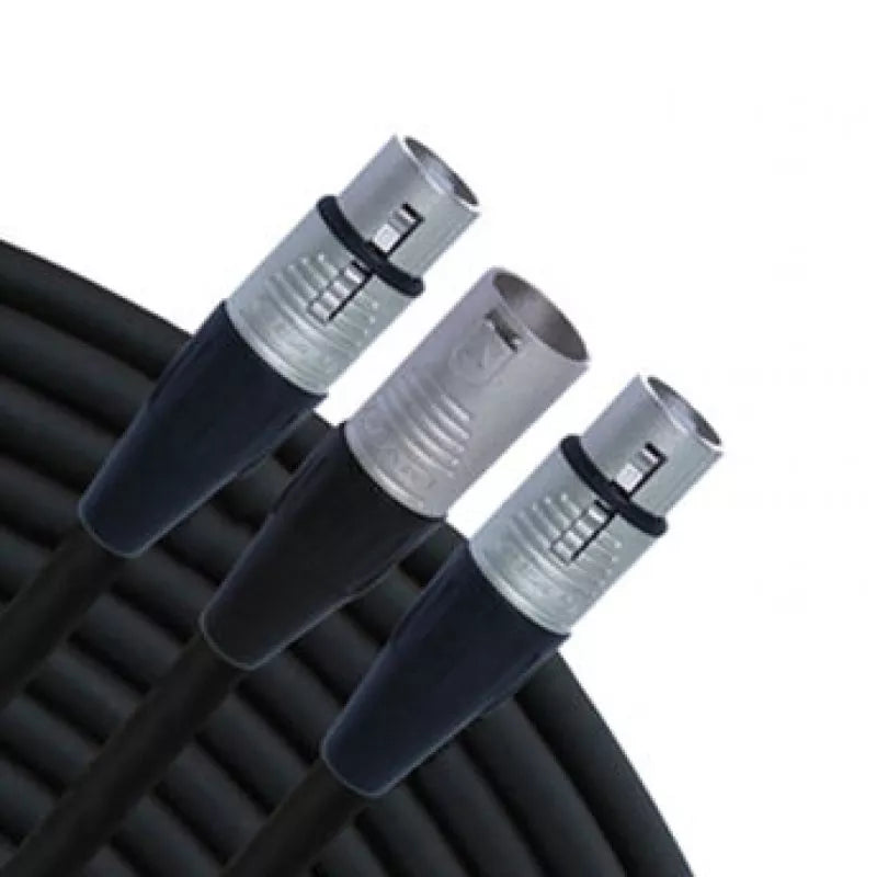 Rapco-Horizon SYM-F-2