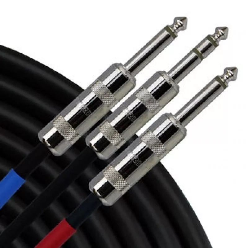 Rapco-Horizon SYS-P-2