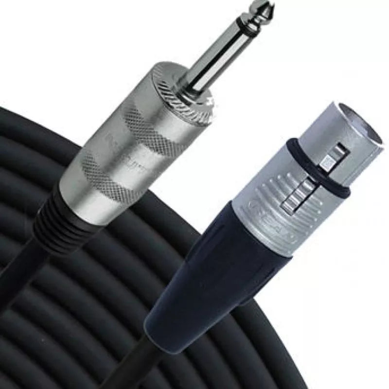 Rapco-Horizon XFM-20