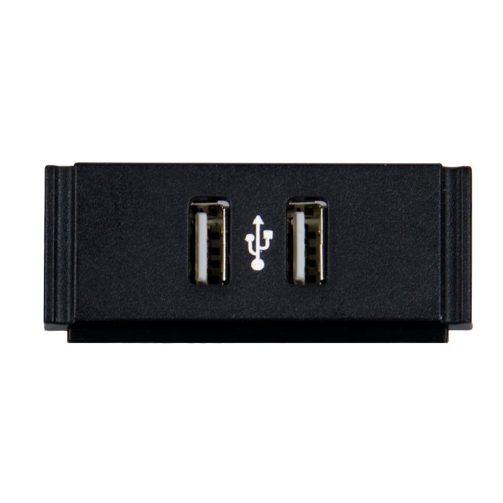 AMX FG553-12 Hpx-N102-Usb Dual Usb Module With Printed Usb Symbol