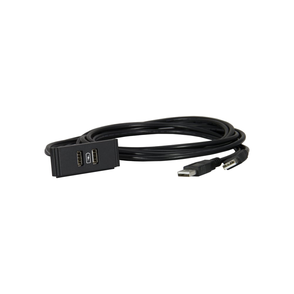 AMX FG553-13 Hpx-N102-Usb-Pc Dual Usb Module With Printed Charging Symbol