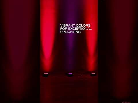 ADJ Eliminator Lighting Mega 64 Profile EP