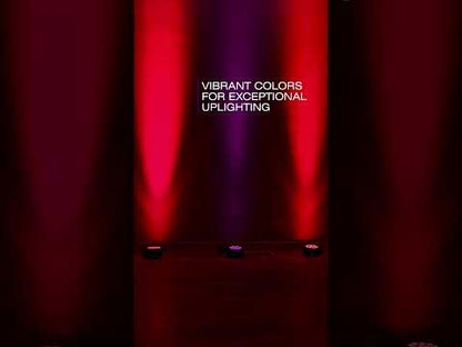 ADJ Eliminator Lighting Mega 64 Profile EP